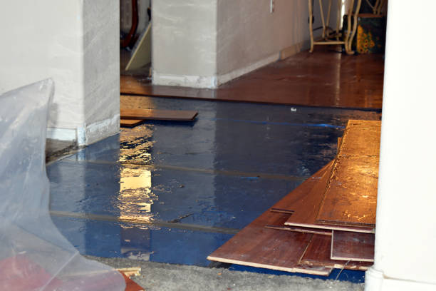 Professional Emergency Water Damage technician working in Lexington, MA